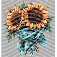 Country music-CU 1211